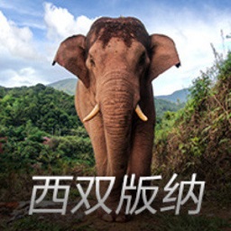直挂死角斯坦丘在沙特联轰不讲理世界波，本赛季已5球6助